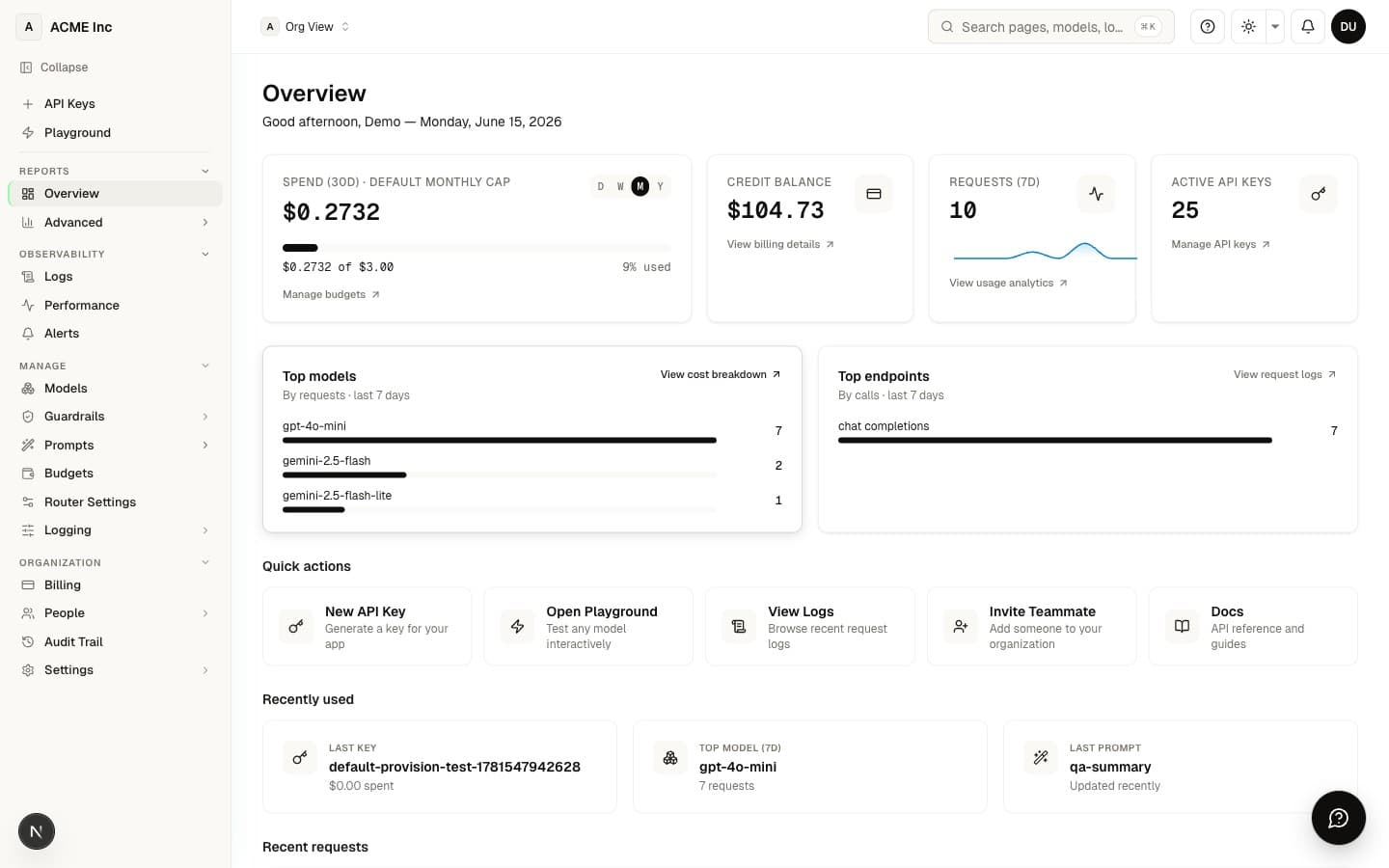Dashboard home — balance, keys, and activity at a glance